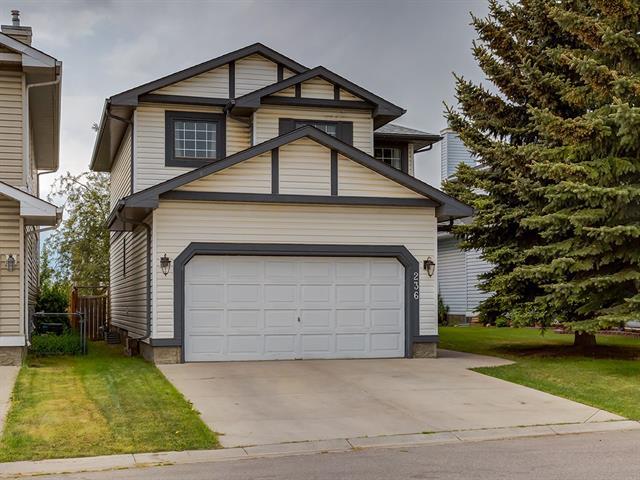 236 Mt Cornwall Mews - Photo 1