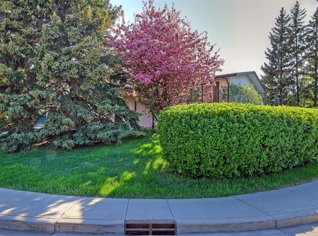 619 Cedarille Way - Photo 1