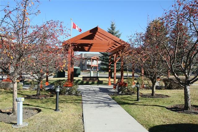 1204 Lake Fraser Green - Photo 1