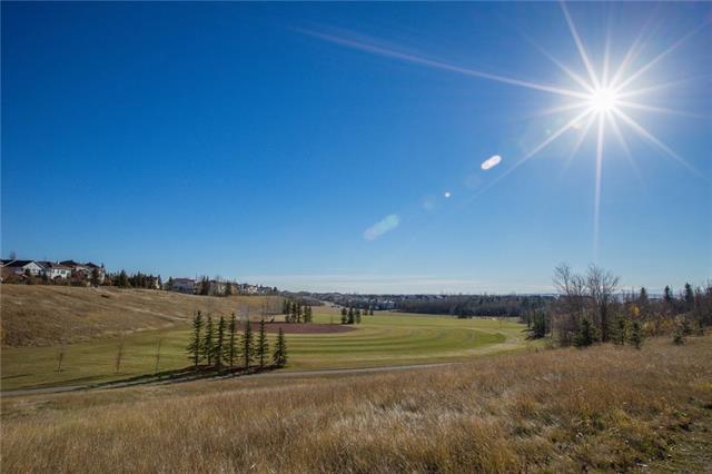 12 Arbour Butte Place - Photo 1