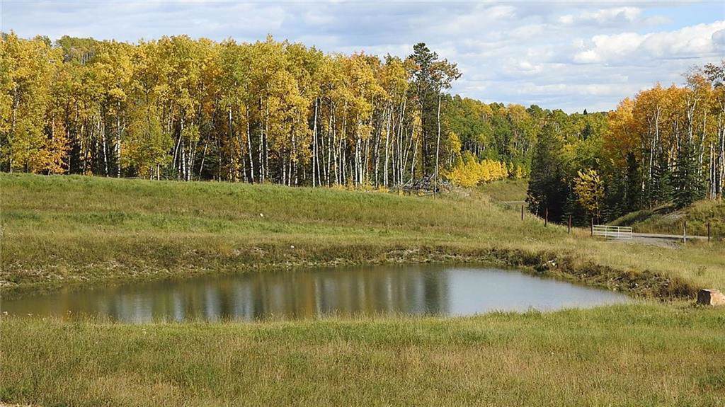 79 Acres Land Bordering Kananaskis - Photo 1