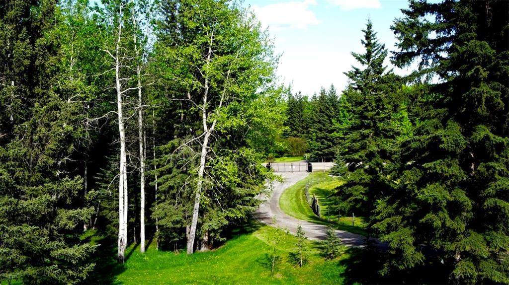 https://bt-photos.global.ssl.fastly.net/calgary/orig_boomver_2_C4290335-2.jpg