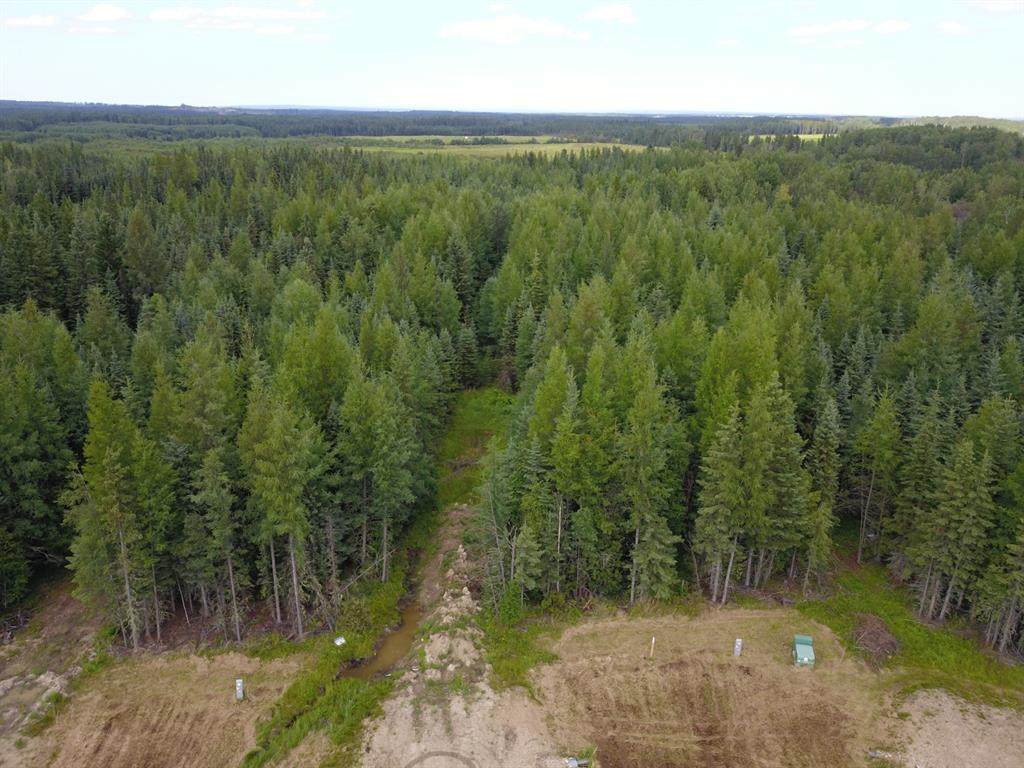 L10 B2 Grizzly Ridge Estates - Photo 1
