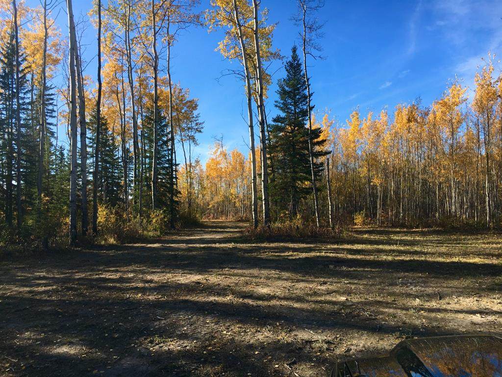 5,18,110, 15 NW - Photo 1