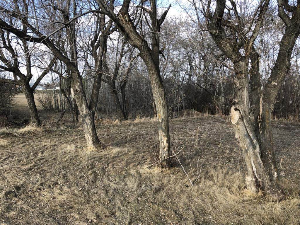 9504 98 Street - Photo 1