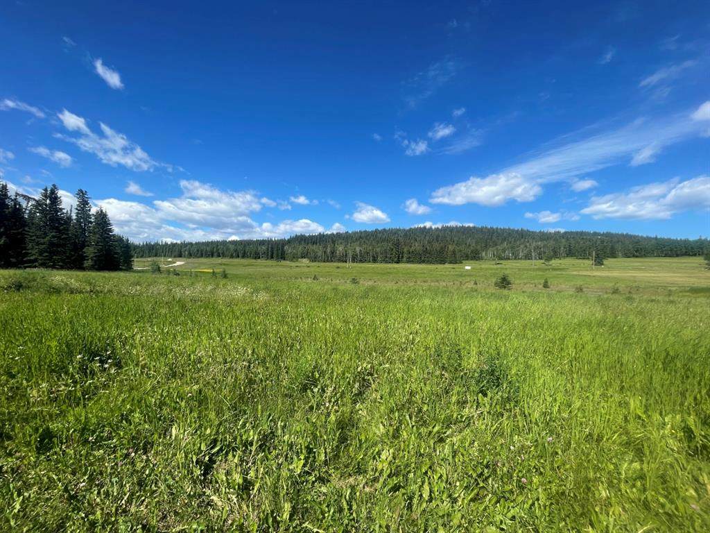 Lot 15 Highway 16 W - Photo 1