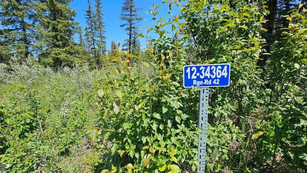 34364 Range Road 42 - Photo 1