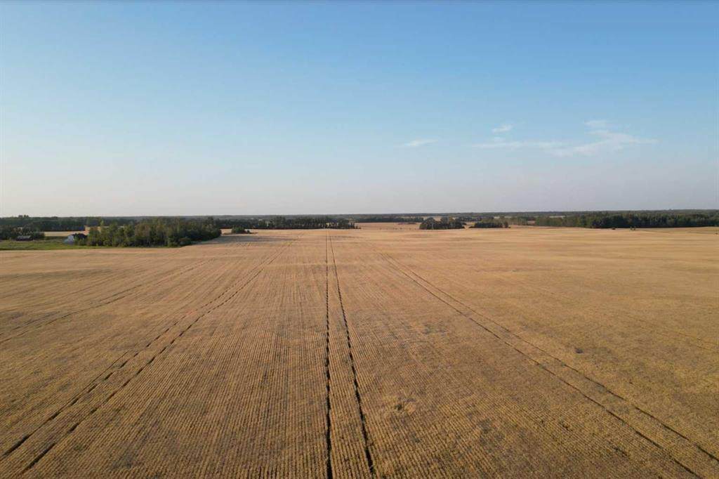https://bt-photos.global.ssl.fastly.net/calgary/orig_boomver_3_A2252824-2.jpg