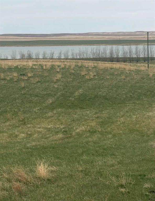 https://bt-photos.global.ssl.fastly.net/calgary/orig_boomver_3_A2287232-2.jpg