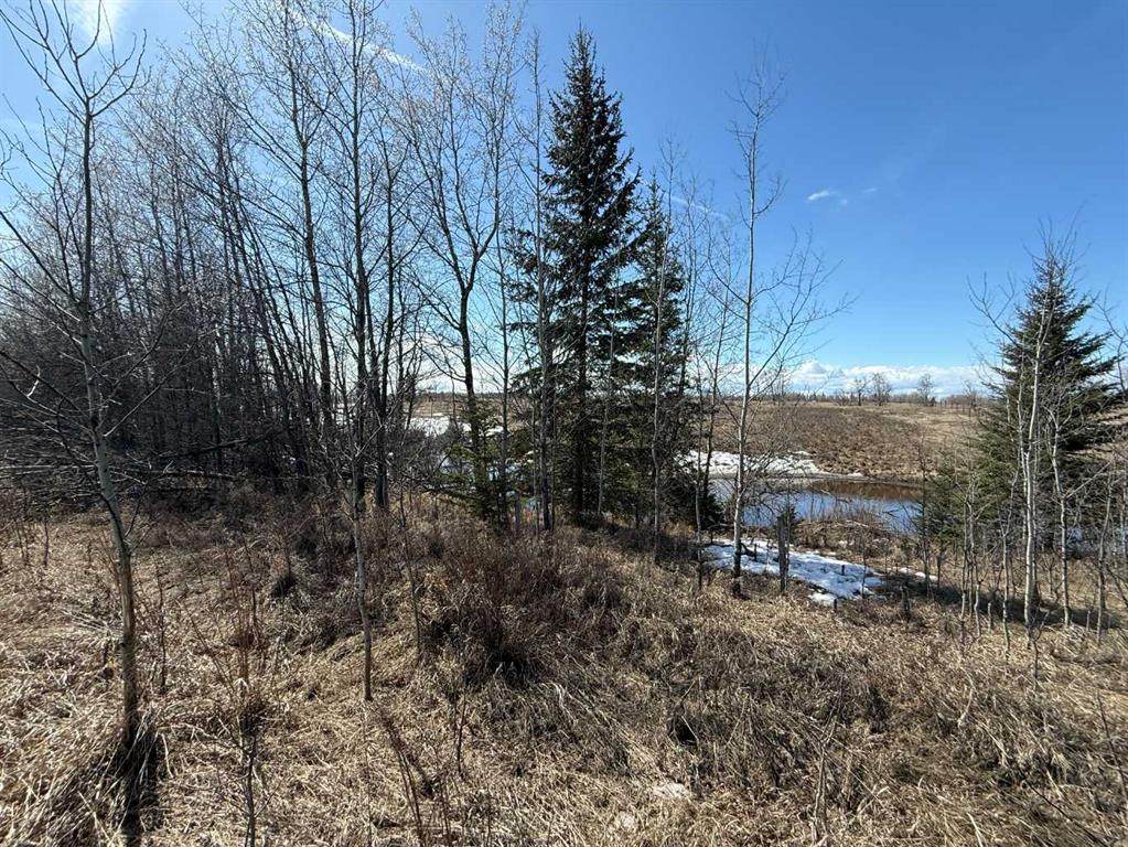 Lot 4 Canyon Road - Photo 1