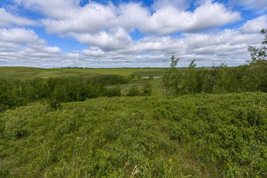 https://bt-photos.global.ssl.fastly.net/calgary/orig_boomver_3_A2318497-2.jpg