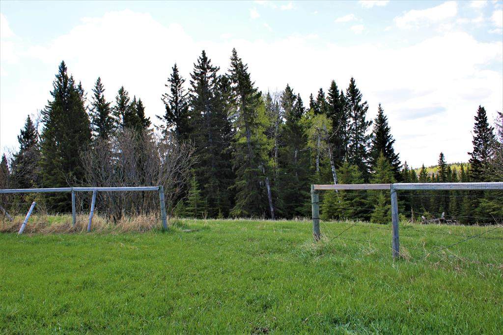 31518 Hwy 22 - Photo 1