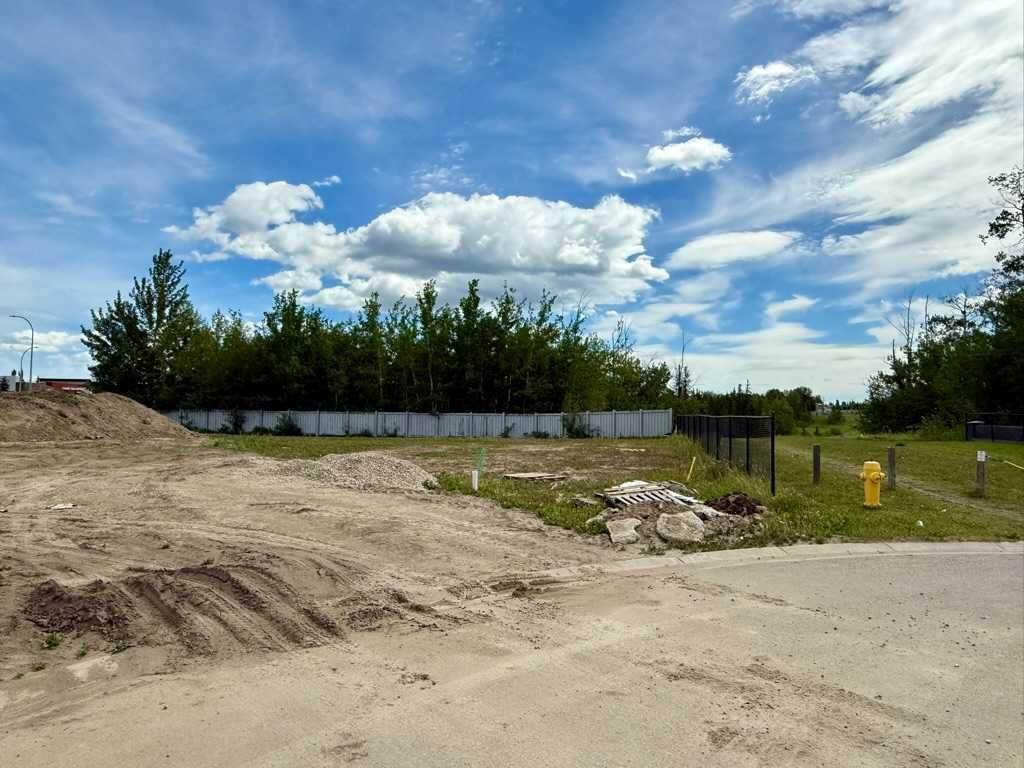 10202 67 Avenue - Photo 1