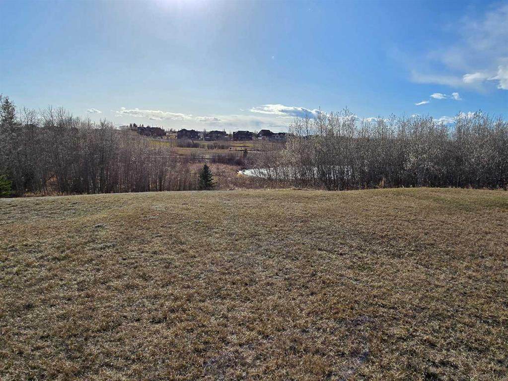 414 Sand Hills Drive - Photo 1