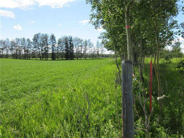 Highway 584 - Photo 1