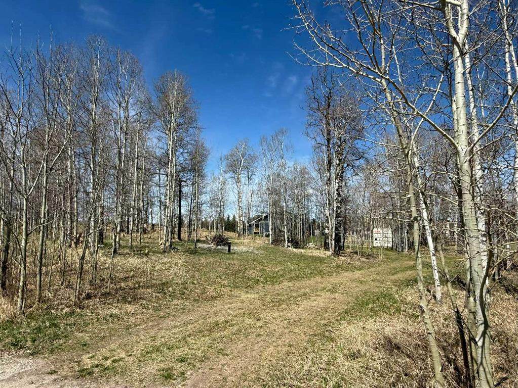 https://bt-photos.global.ssl.fastly.net/calgary/orig_boomver_6_A2282234-2.jpg