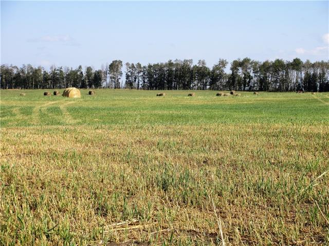 6337 Highway 584 - Photo 1
