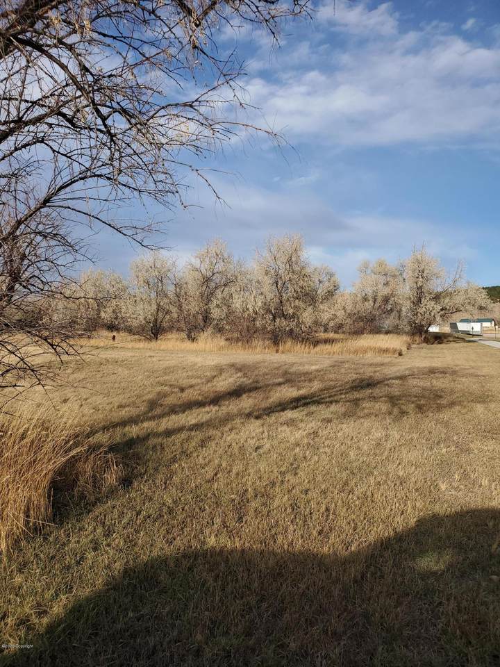 Lot 3 Sage - Photo 1