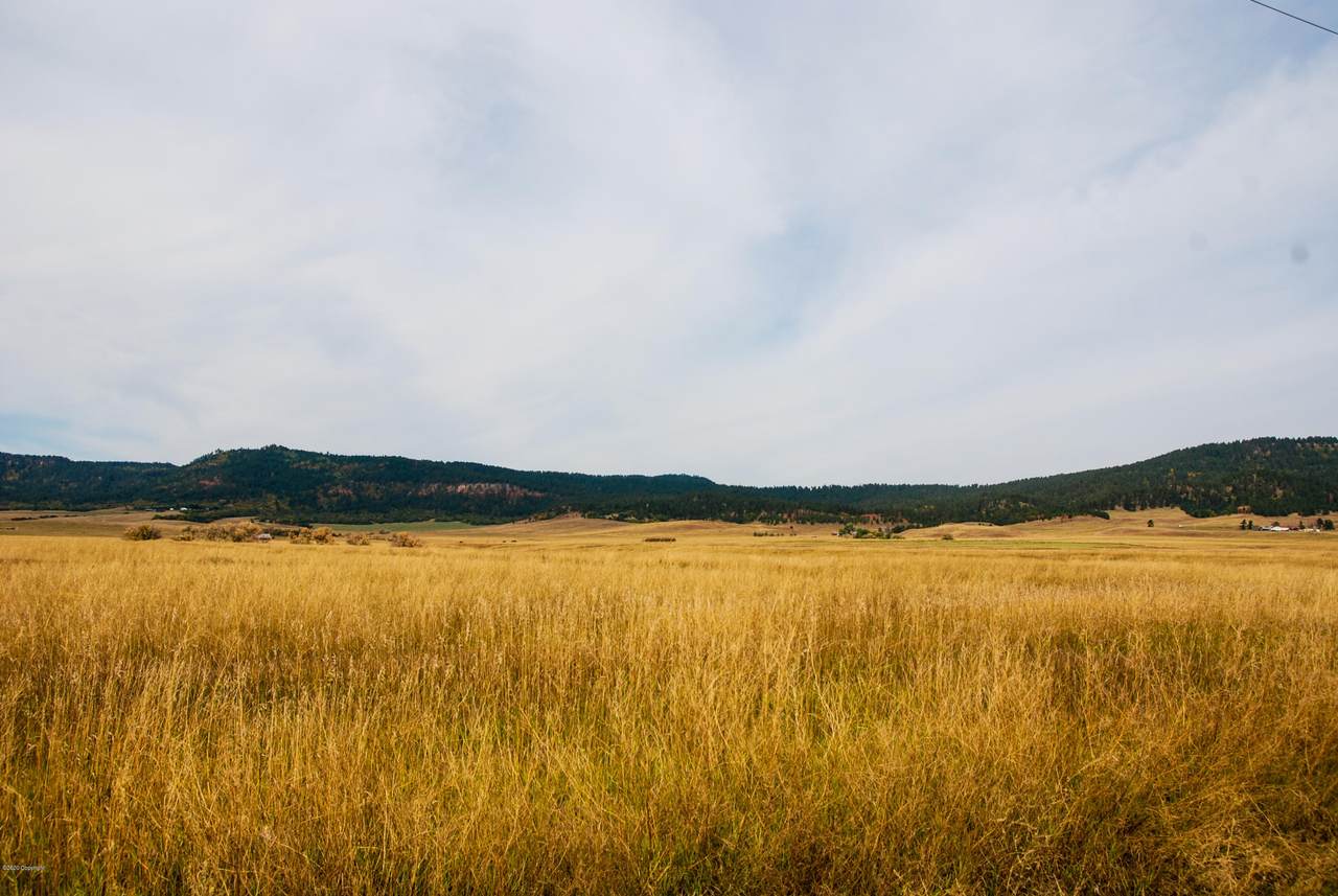 Lot 4 Government Valley Road - Photo 1