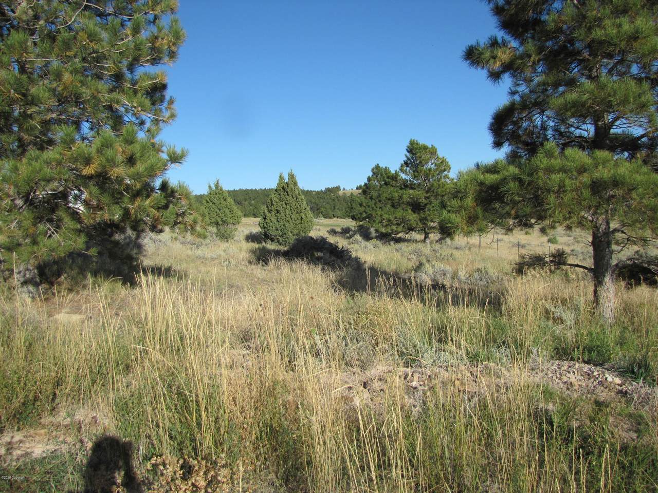 50 Musser Road - Photo 1