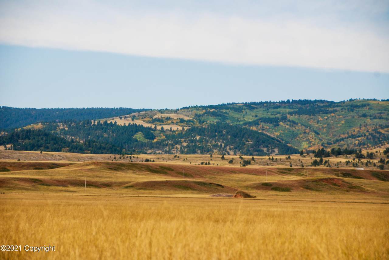 Lot 9 Government Valley Road - Photo 1