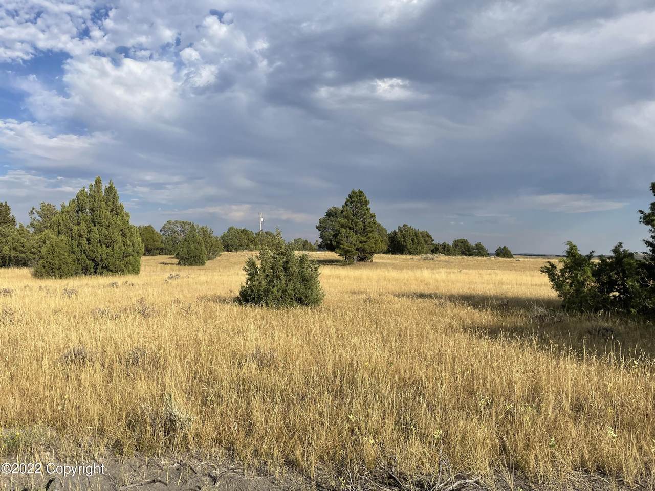 Tbd Juniper Hills Rd. - Photo 1