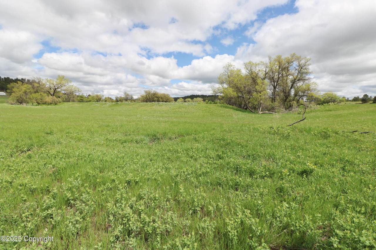 Tbd Madden Ct - Photo 1