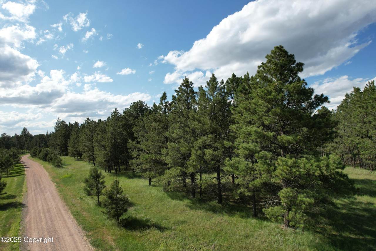 0000 Remington Road - Photo 1