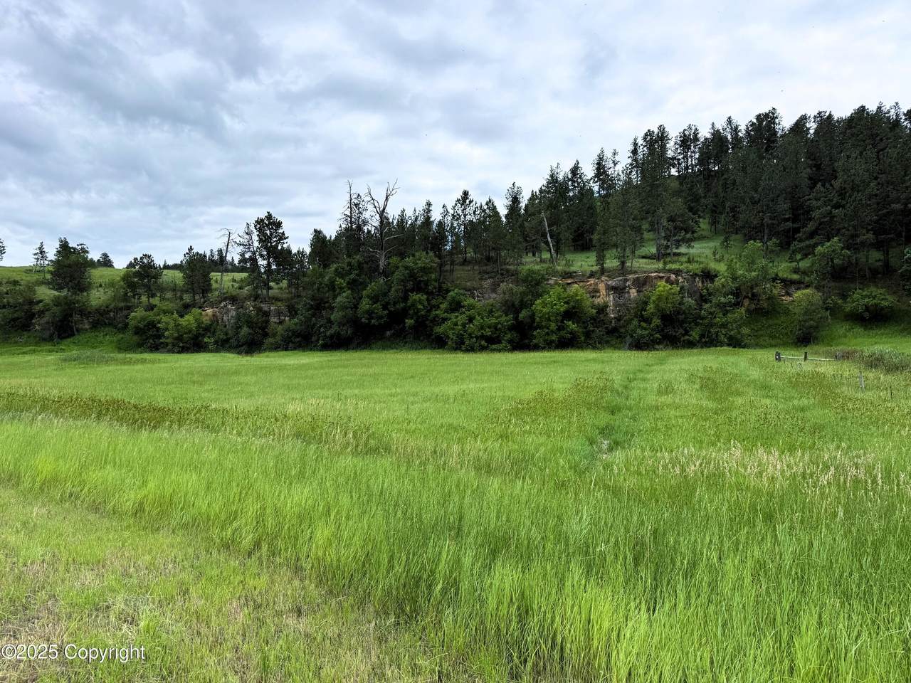 R10 Mustang Valley Road - Photo 1