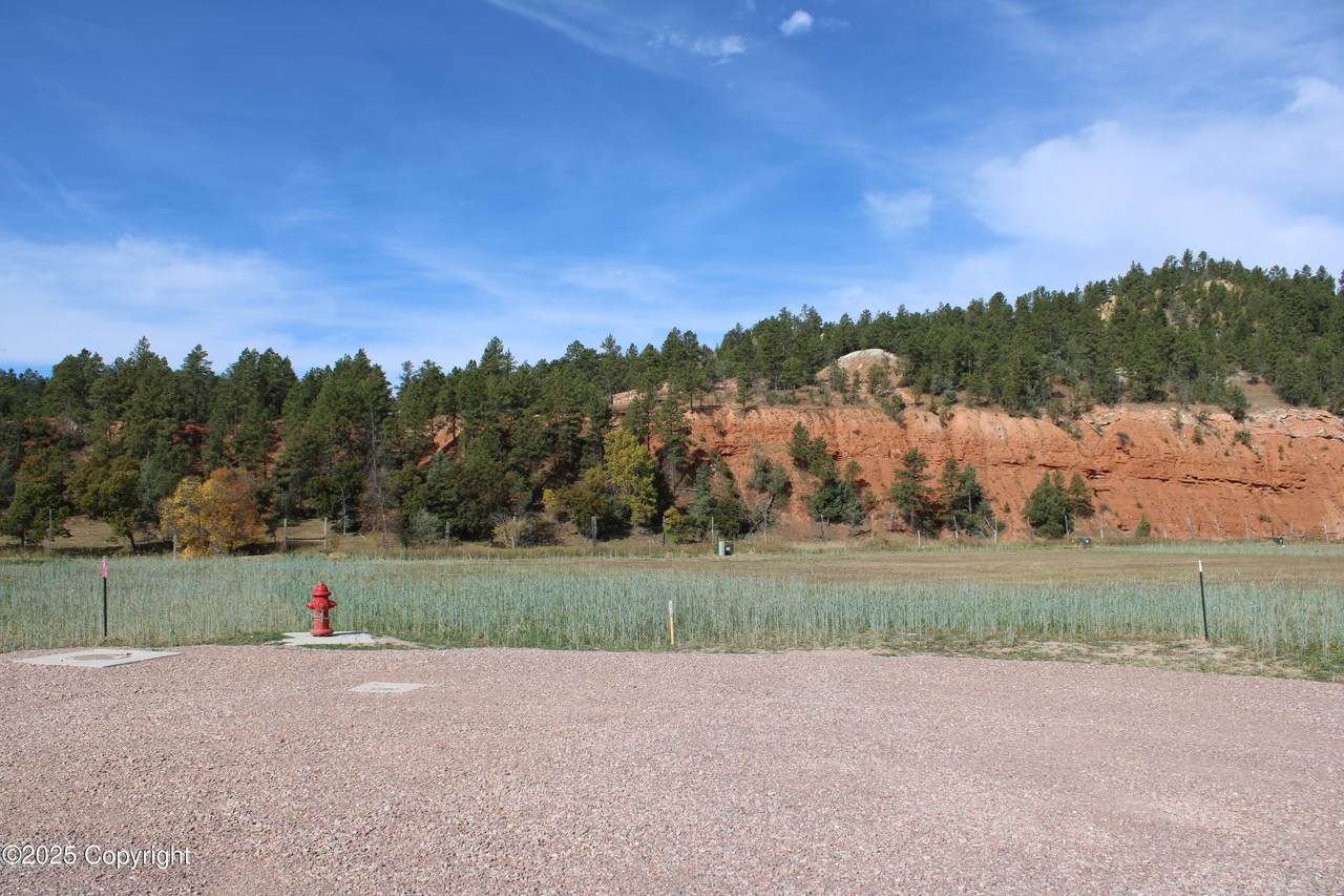 Lot 29 Red Devil Drive - Photo 1