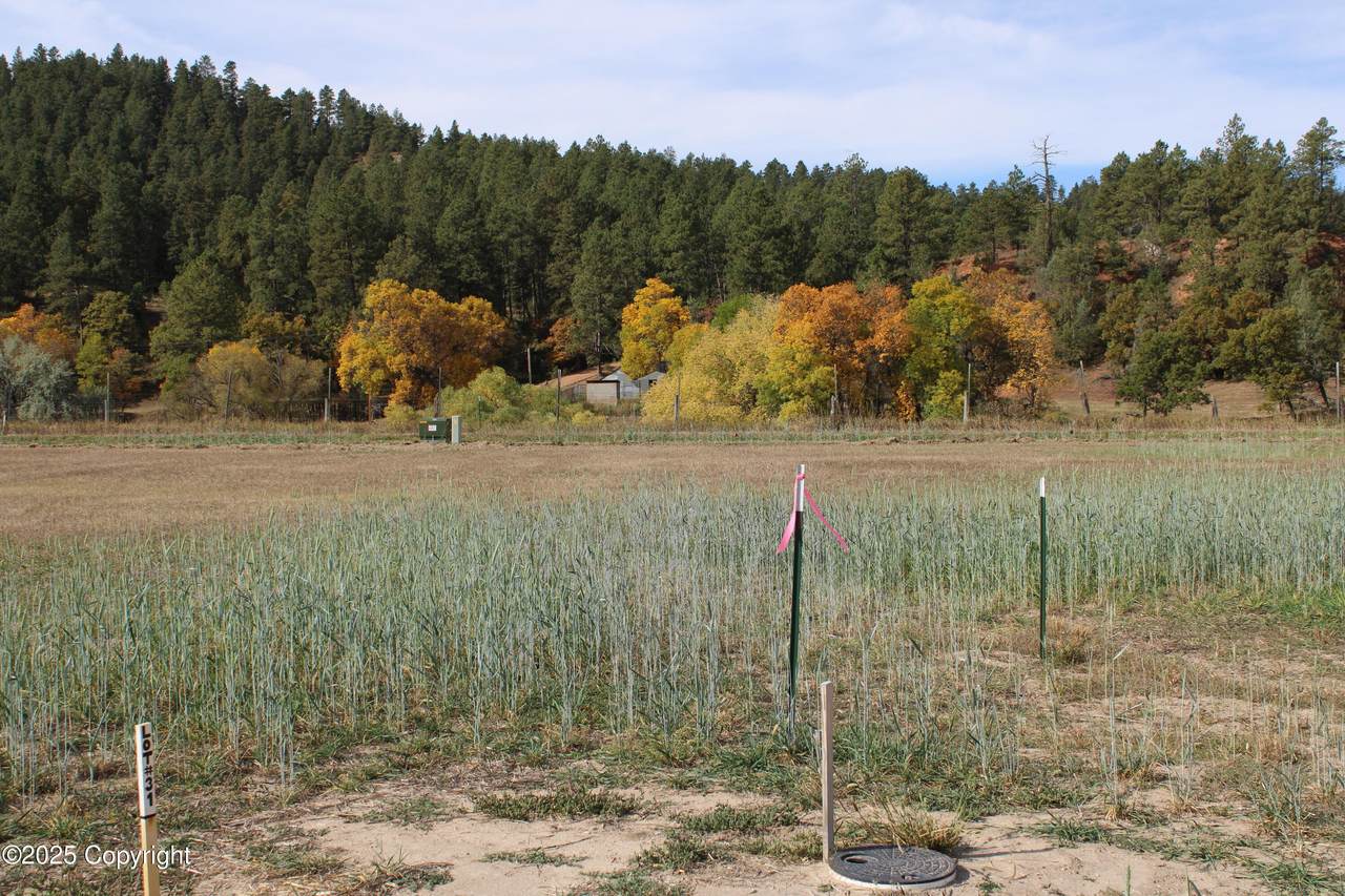 Lot 31 Red Devil Drive - Photo 1