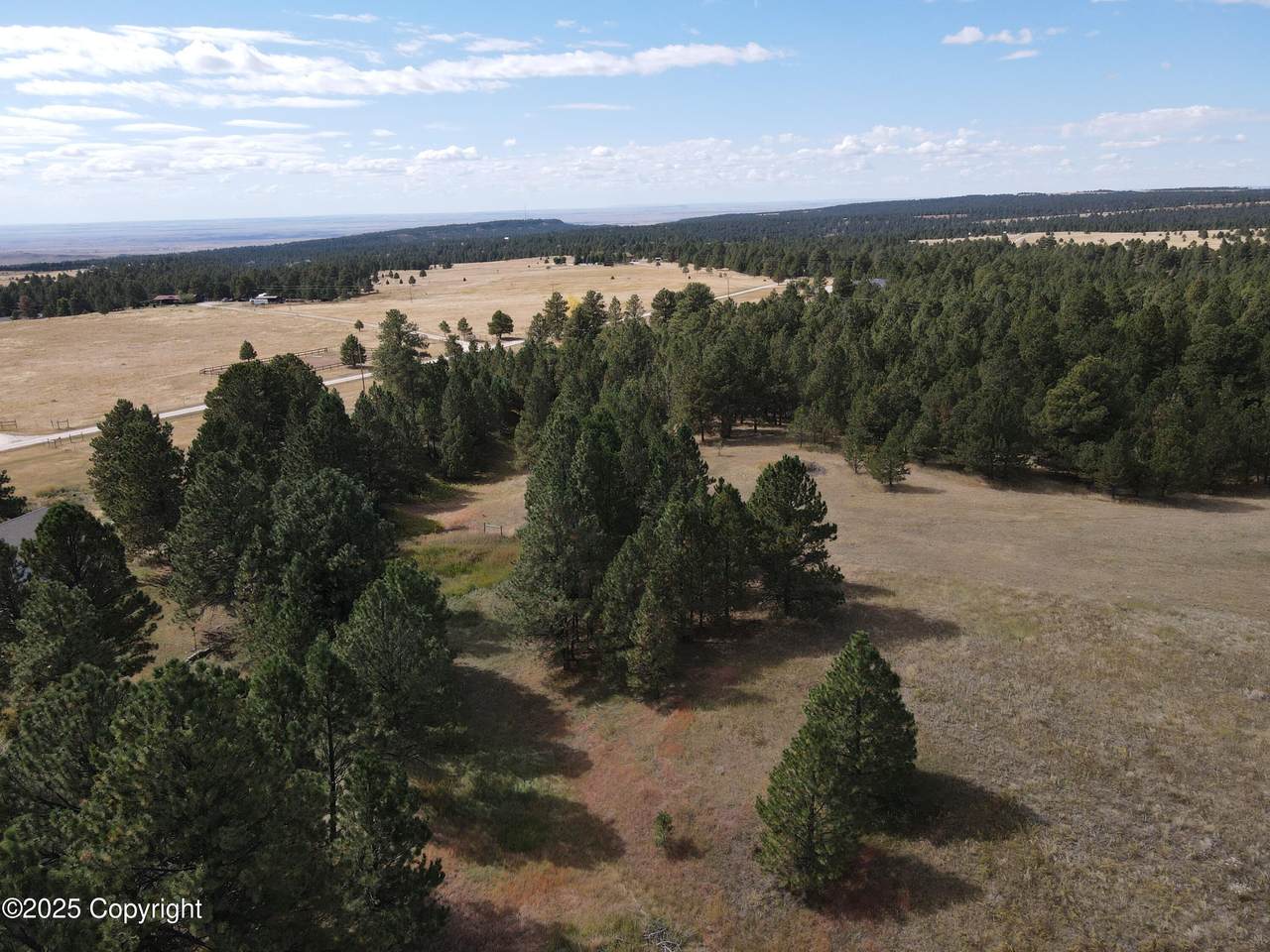 Tbd Bridle Bit Road - Photo 1