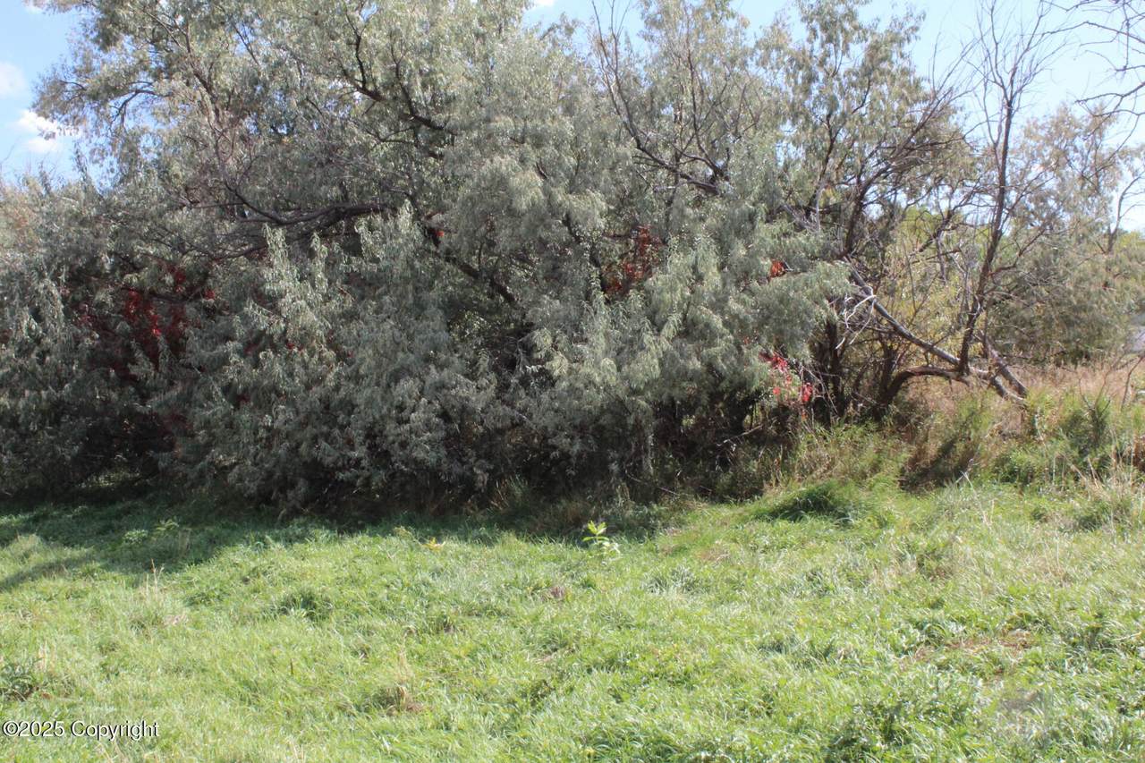 Lot 5 Sage Road - Photo 1