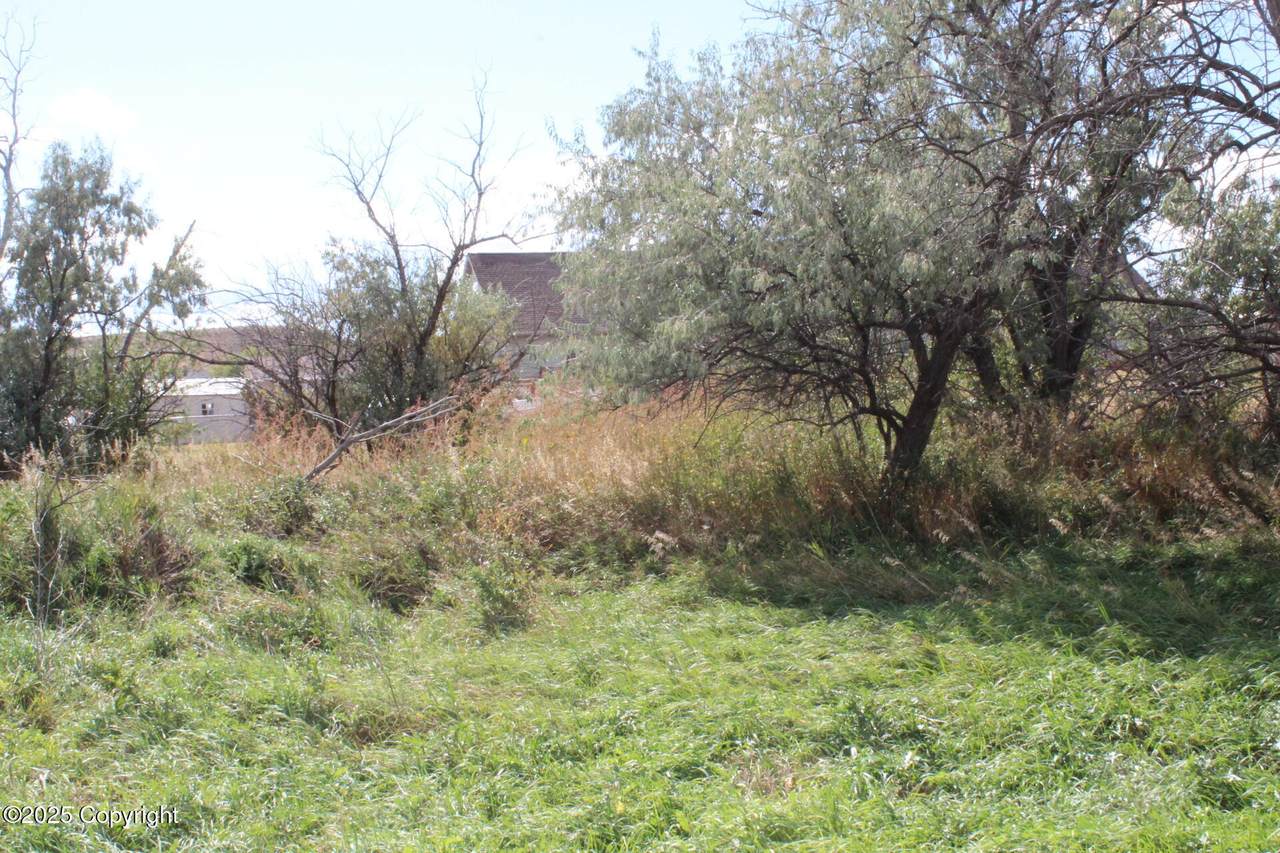 Lot 6 Sage Road - Photo 1