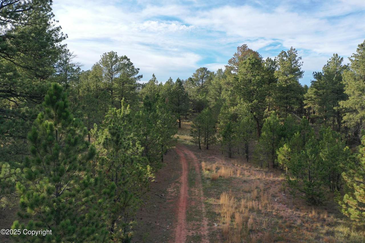 Tract A-3 Broad Axe Rd - Photo 1