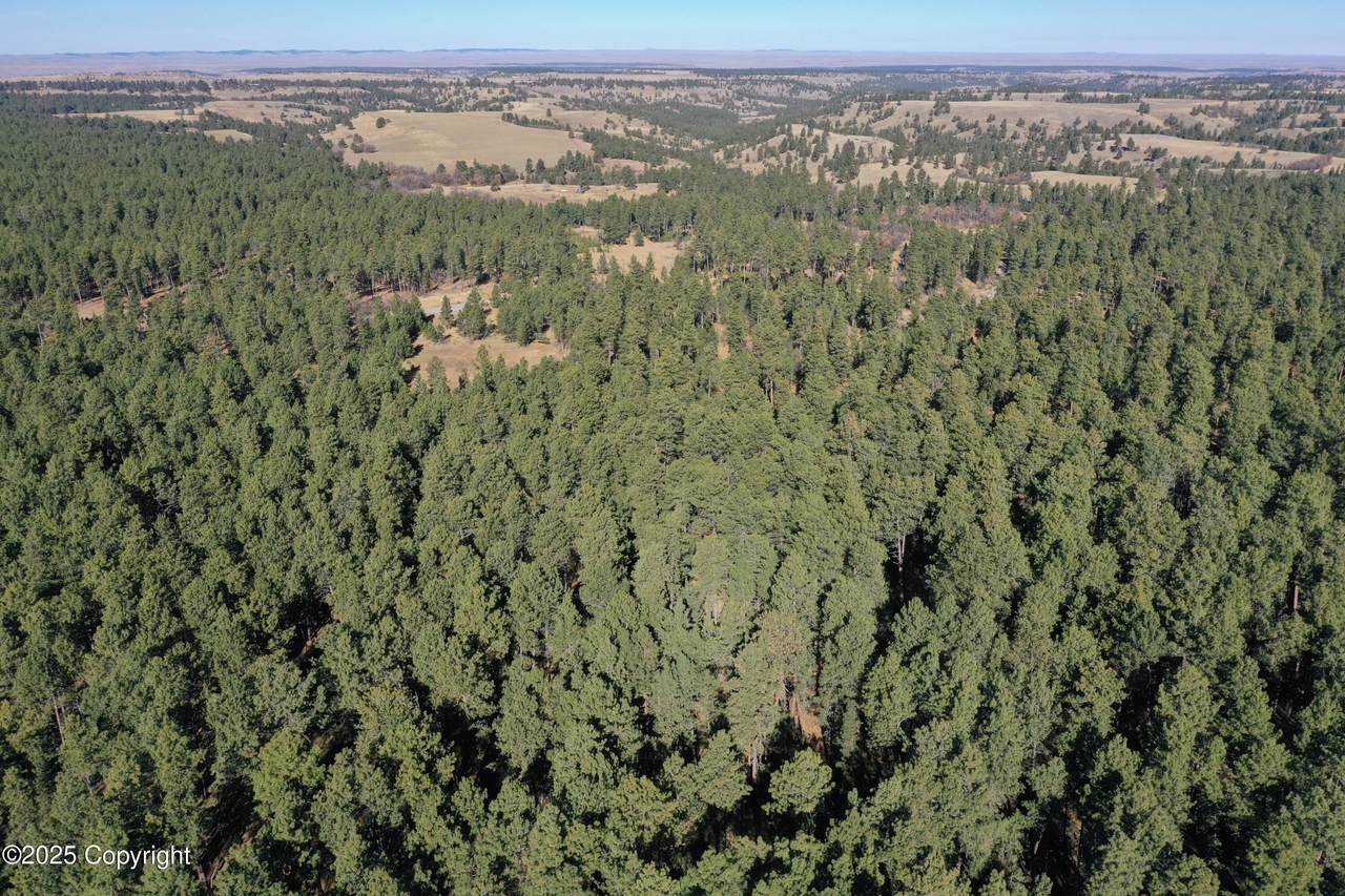 000 Bruin Rd - Photo 1