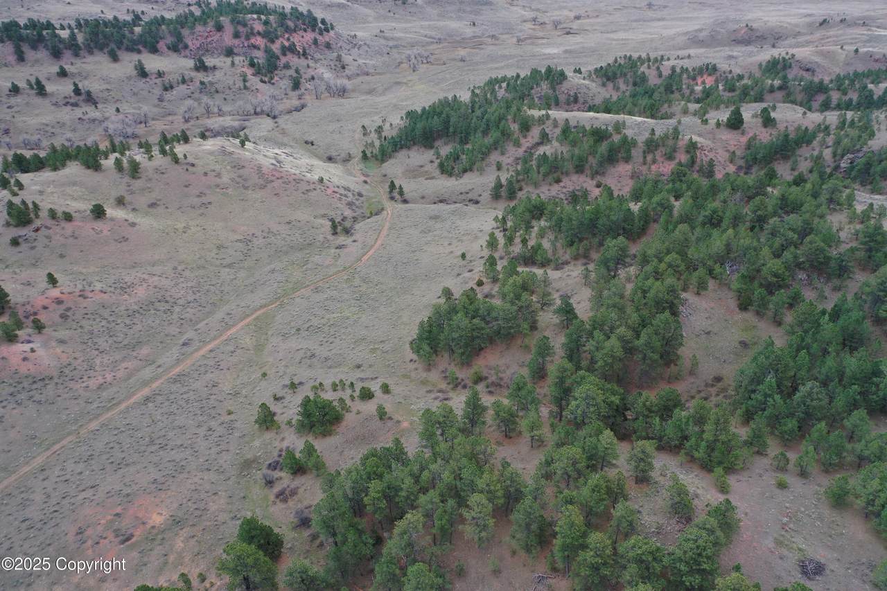 Tract B-8 Broad Axe Rd - Photo 1