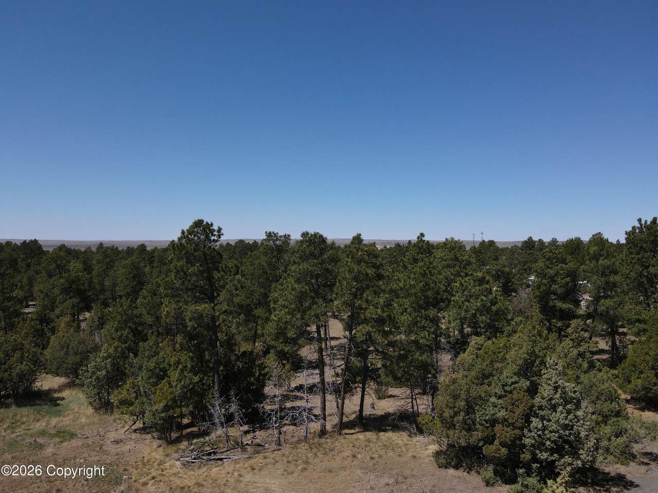 Tbd Pine Avenue - Photo 1