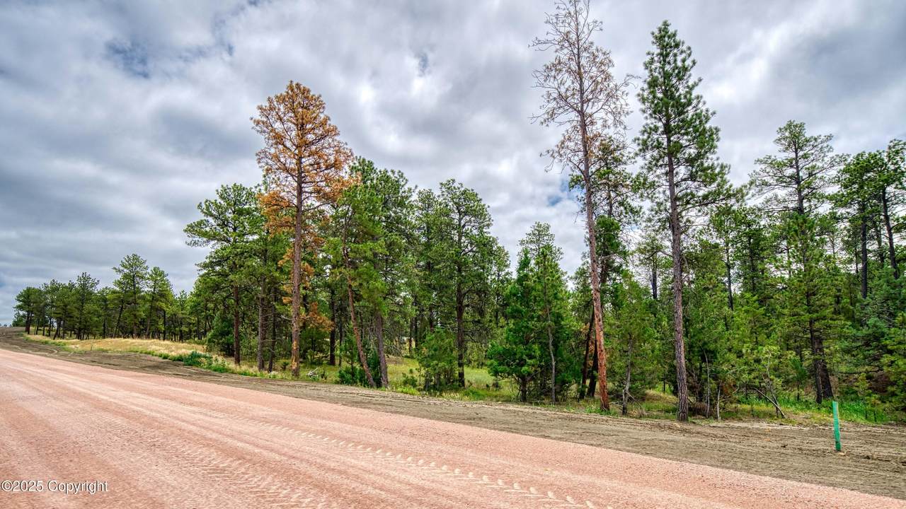 10 Pine Crest Drive - Photo 1