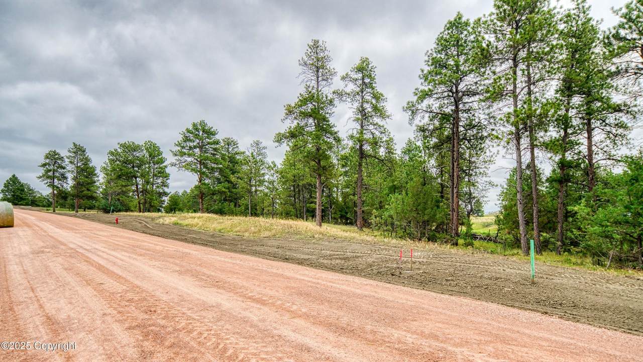 14 Freedom Drive - Photo 1