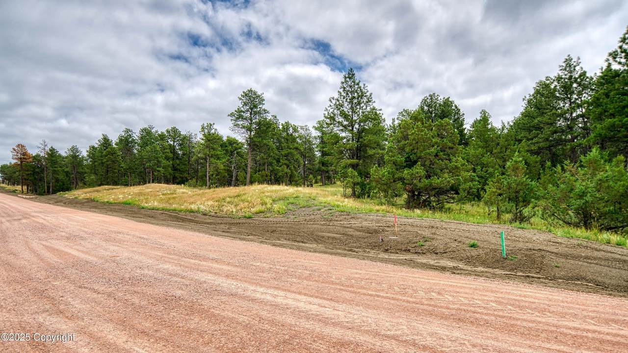 16 Pine Crest Drive - Photo 1