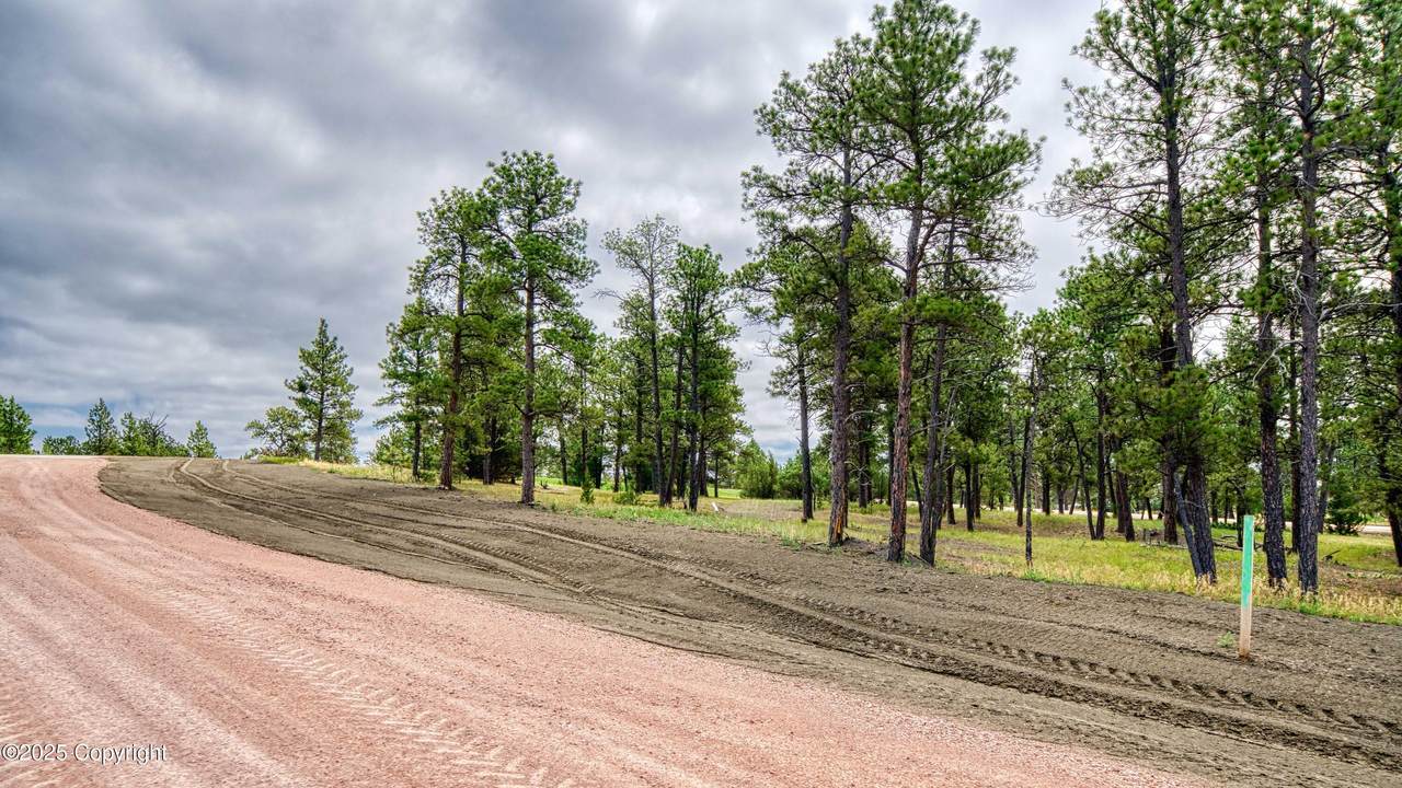 4 Pine Crest Drive - Photo 1
