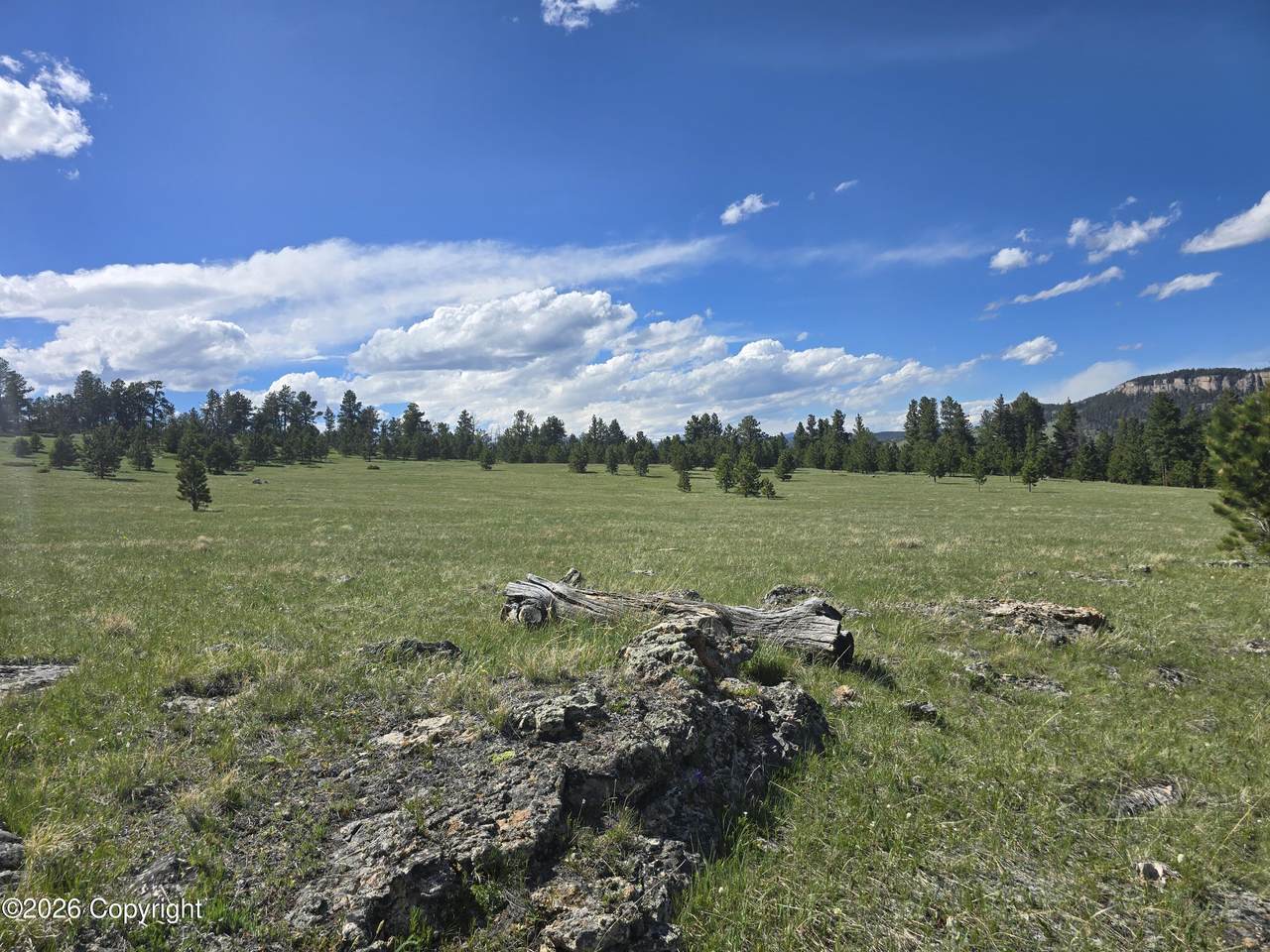 Tbd Yarrow Rd - Photo 1