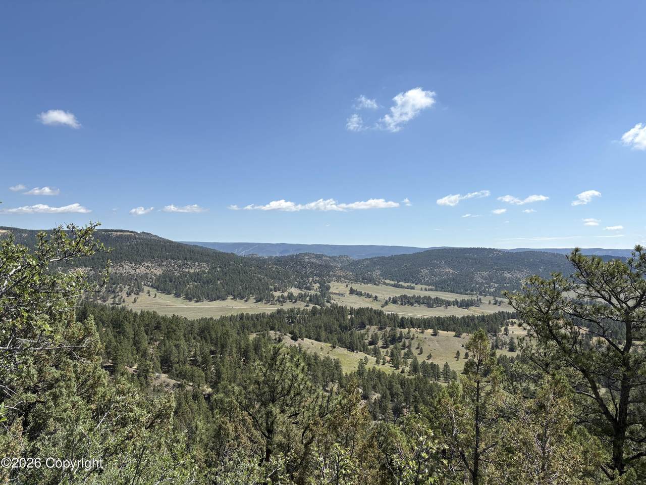 Tbd Homestead Road - Photo 1