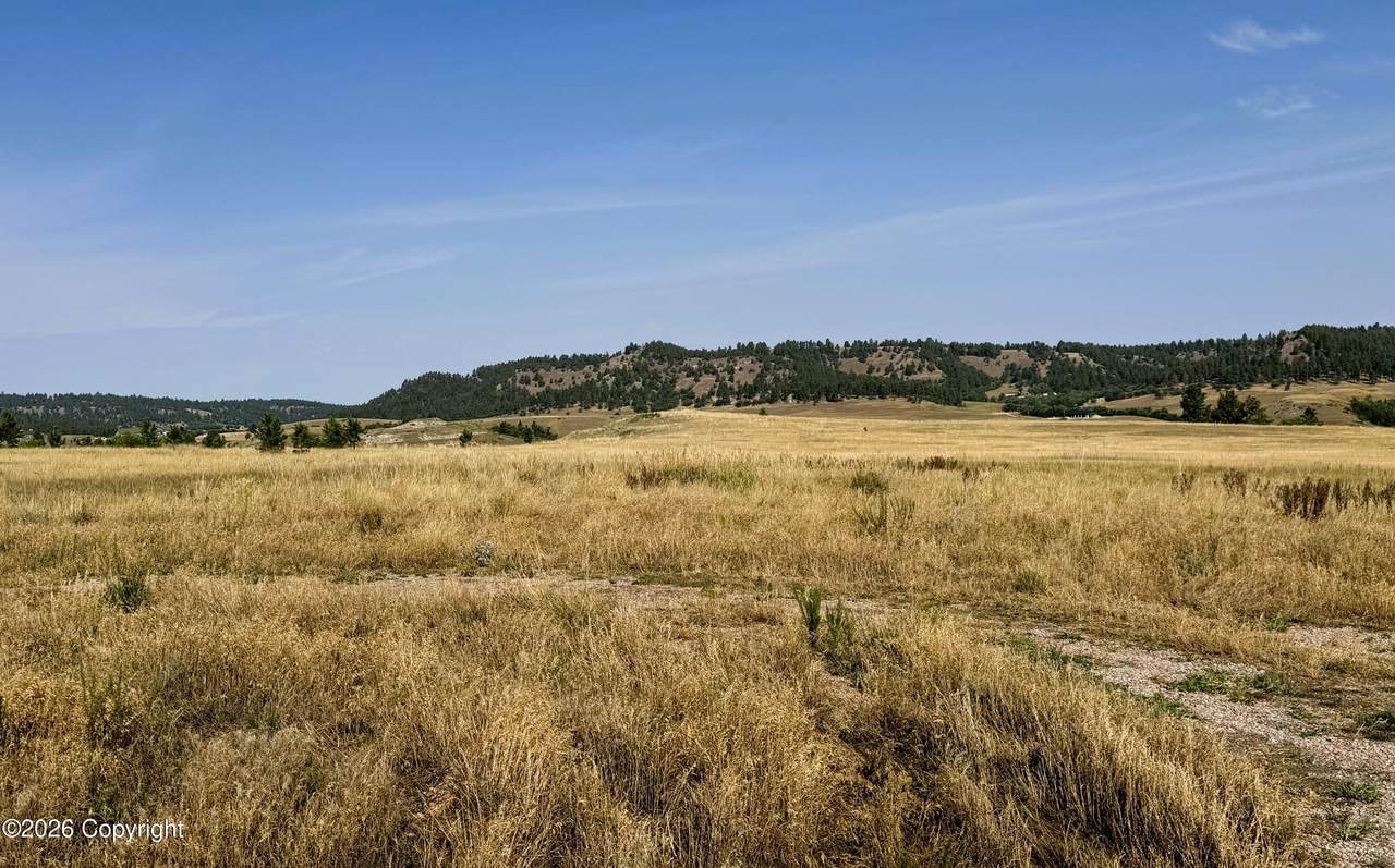 Tract 4 Painted Horse Road - Photo 1