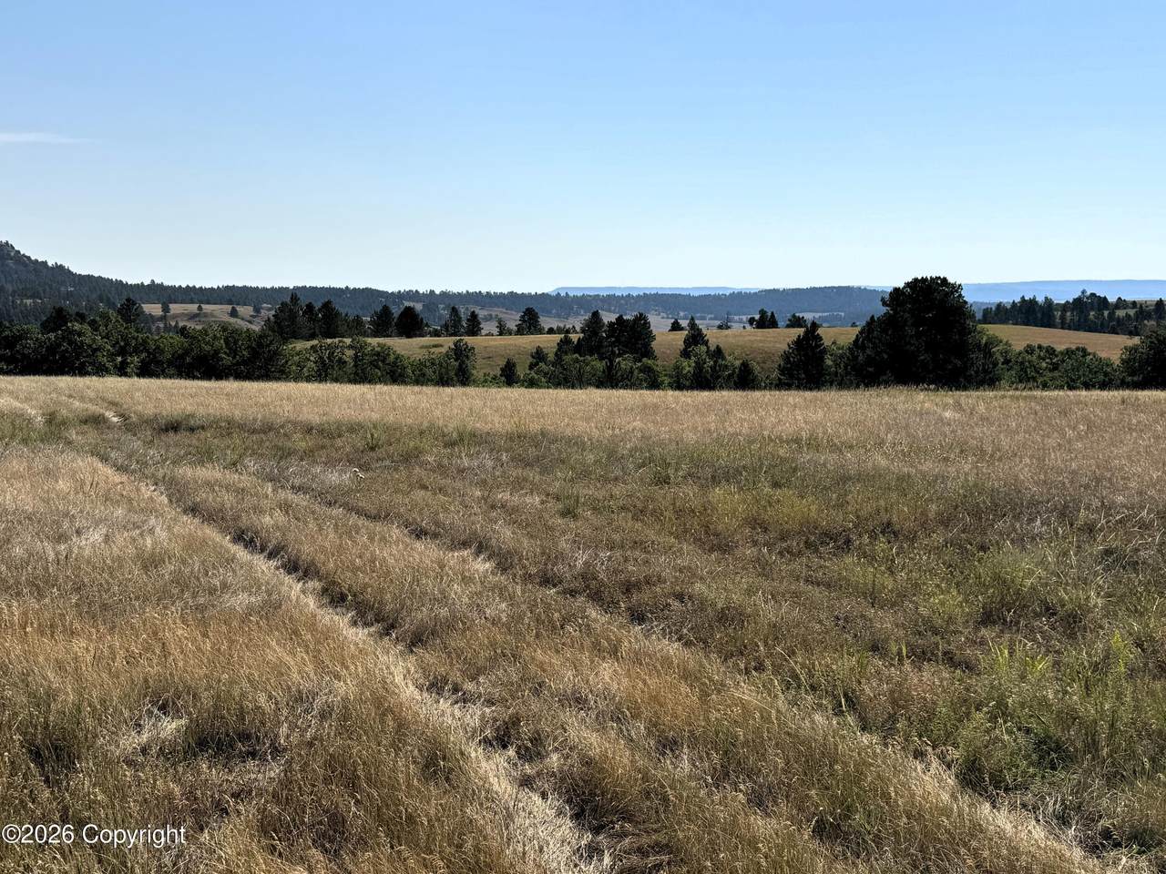 Tract 10 Painted Horse Road - Photo 1