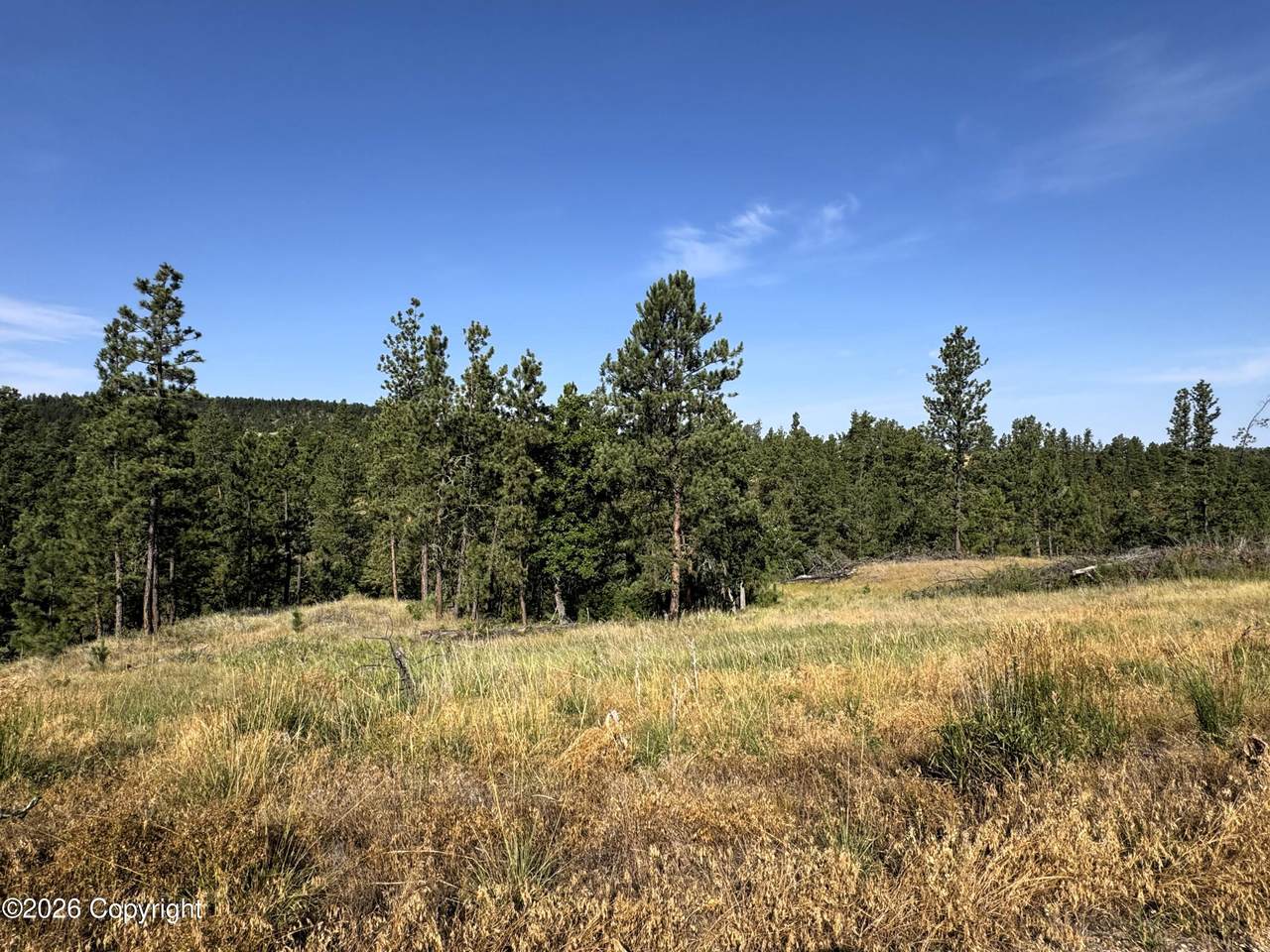 Tract 12 Black Bear Road - Photo 1