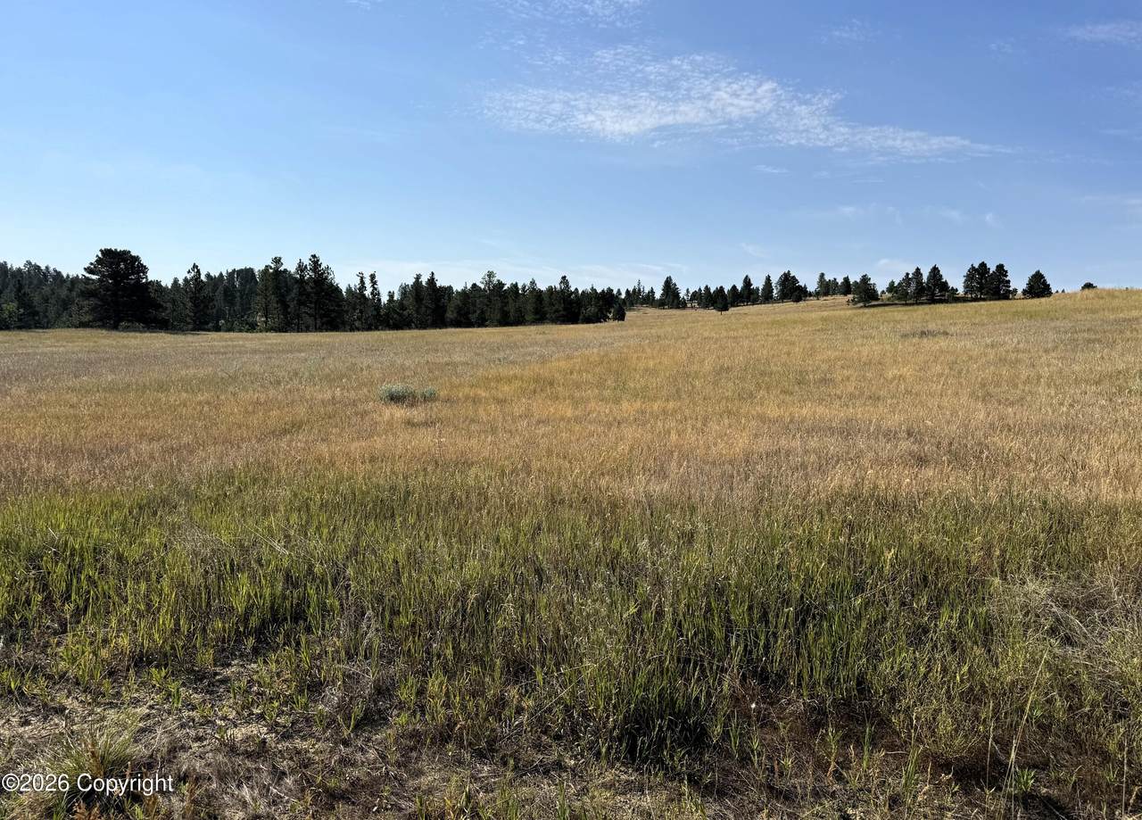 Tract 14 Soaring Eagle Road - Photo 1
