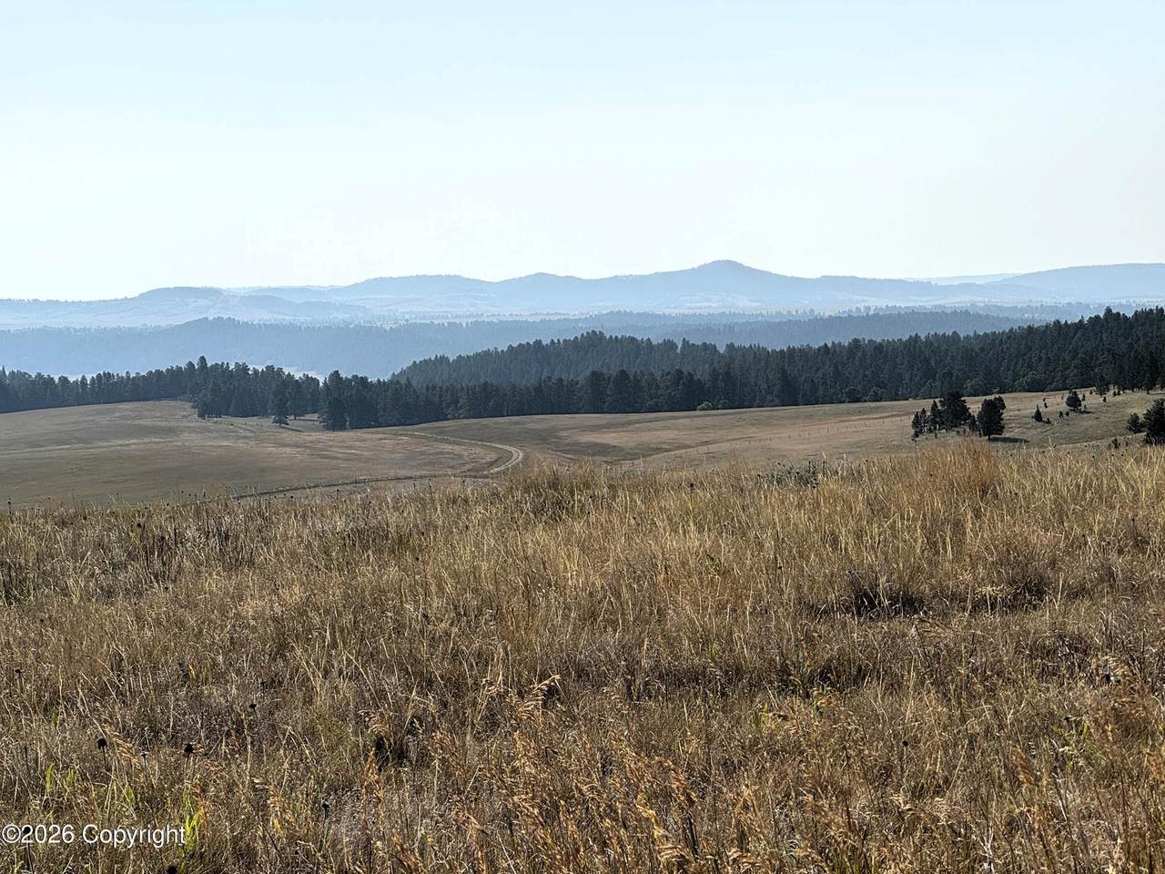 Tract 17 Black Bear Road - Photo 1