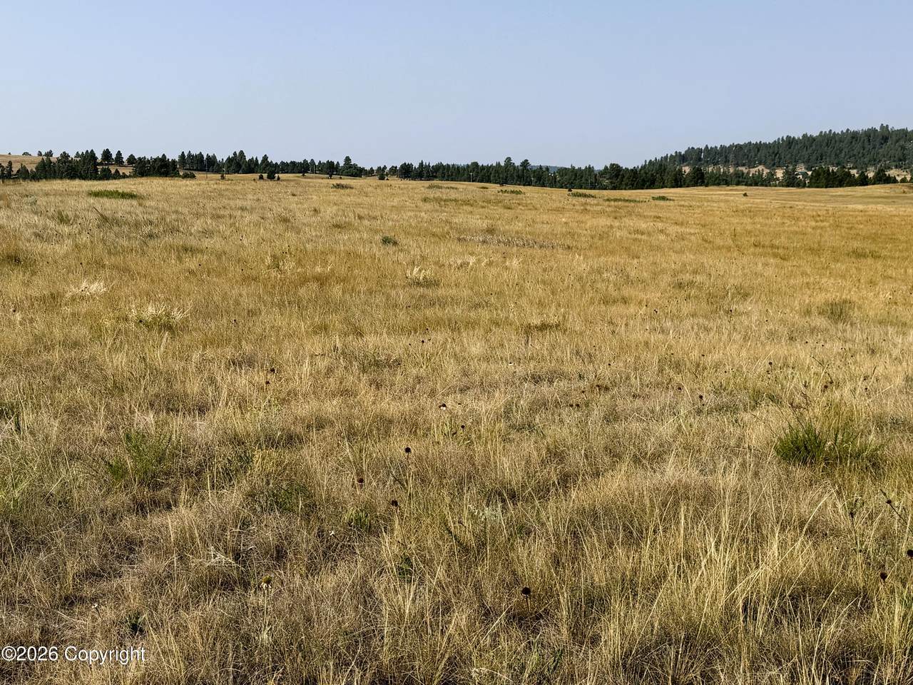 https://bt-photos.global.ssl.fastly.net/campbell/1280_boomver_1_26-937-2.jpg